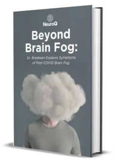 beyond brain fog book